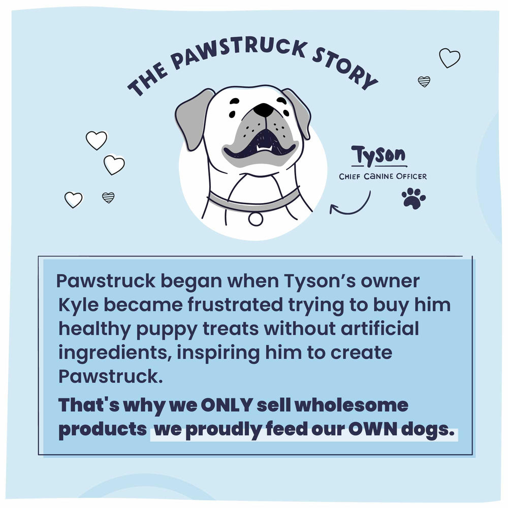Pawstruck training reward chew, ideal for positive reinforcement sessions.