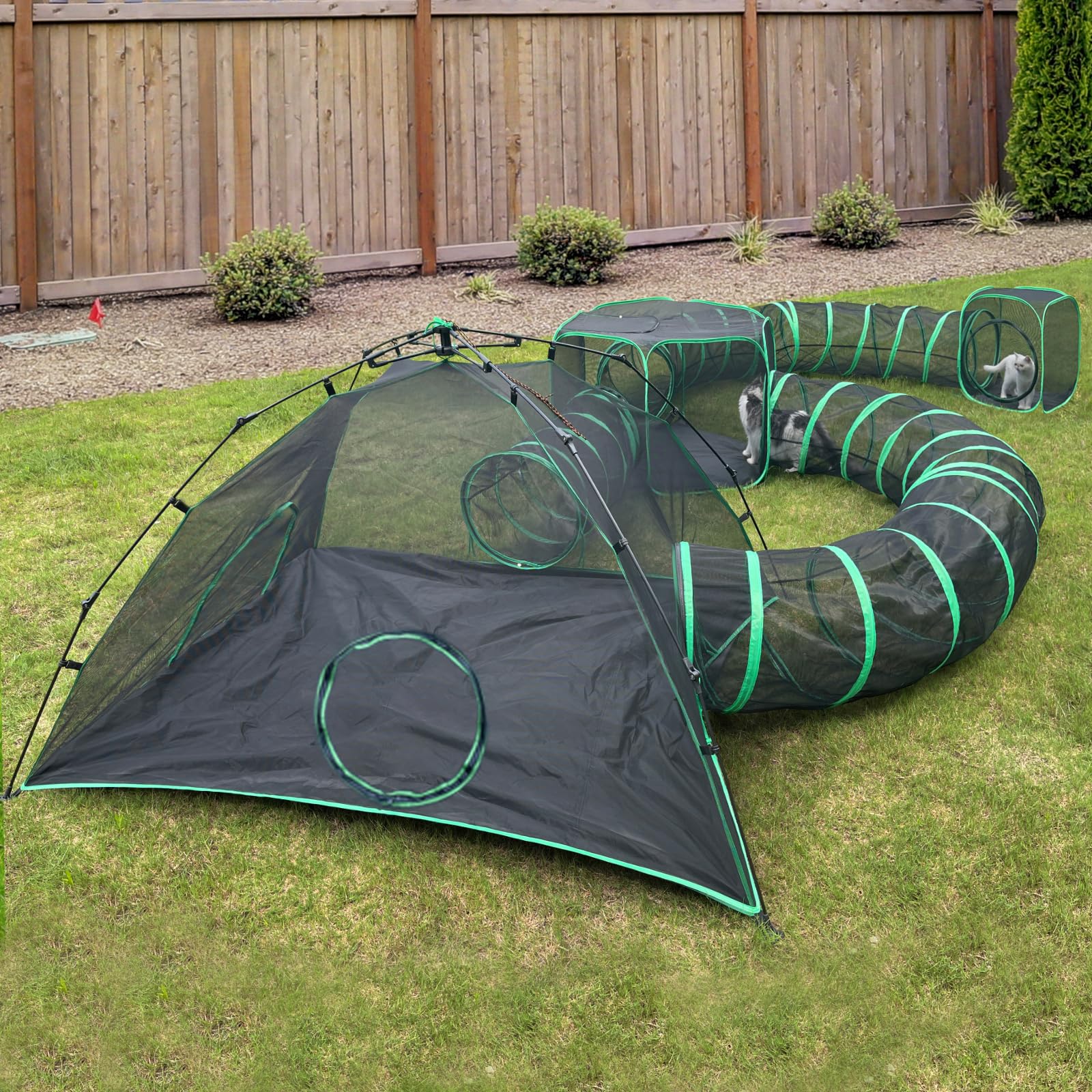 Pawtenda outdoor cat camp tents setup in backyard for safe exploration