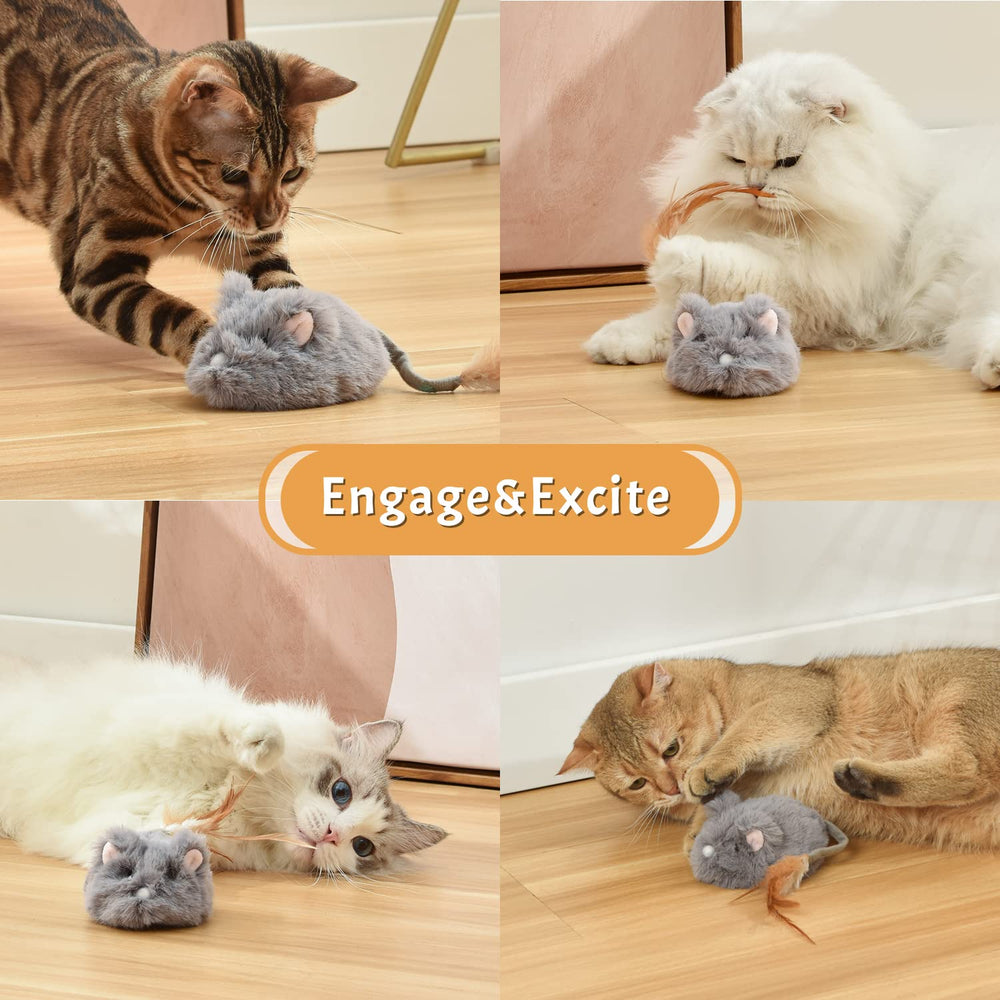 Pawthquake USB-rechargeable power source supports ongoing play sessions.