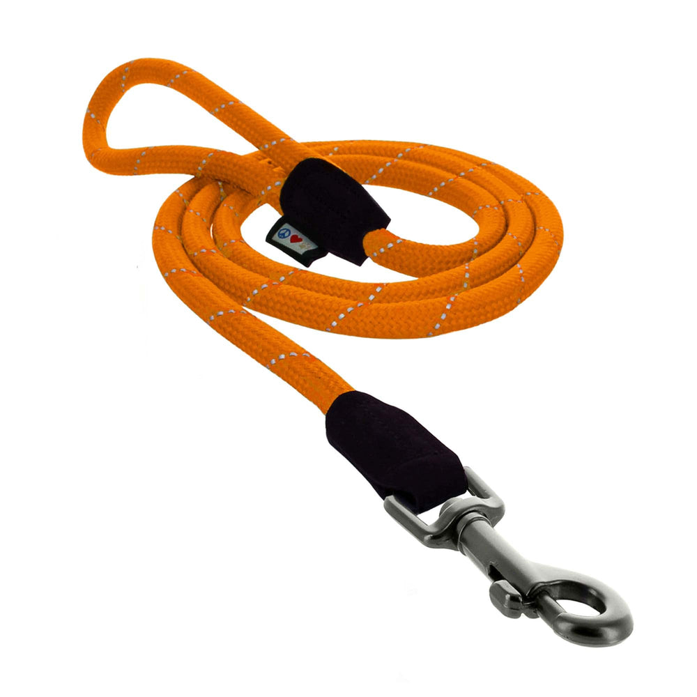 Pawtitas 6ft orange dog leash with reflective strip for night visibility.