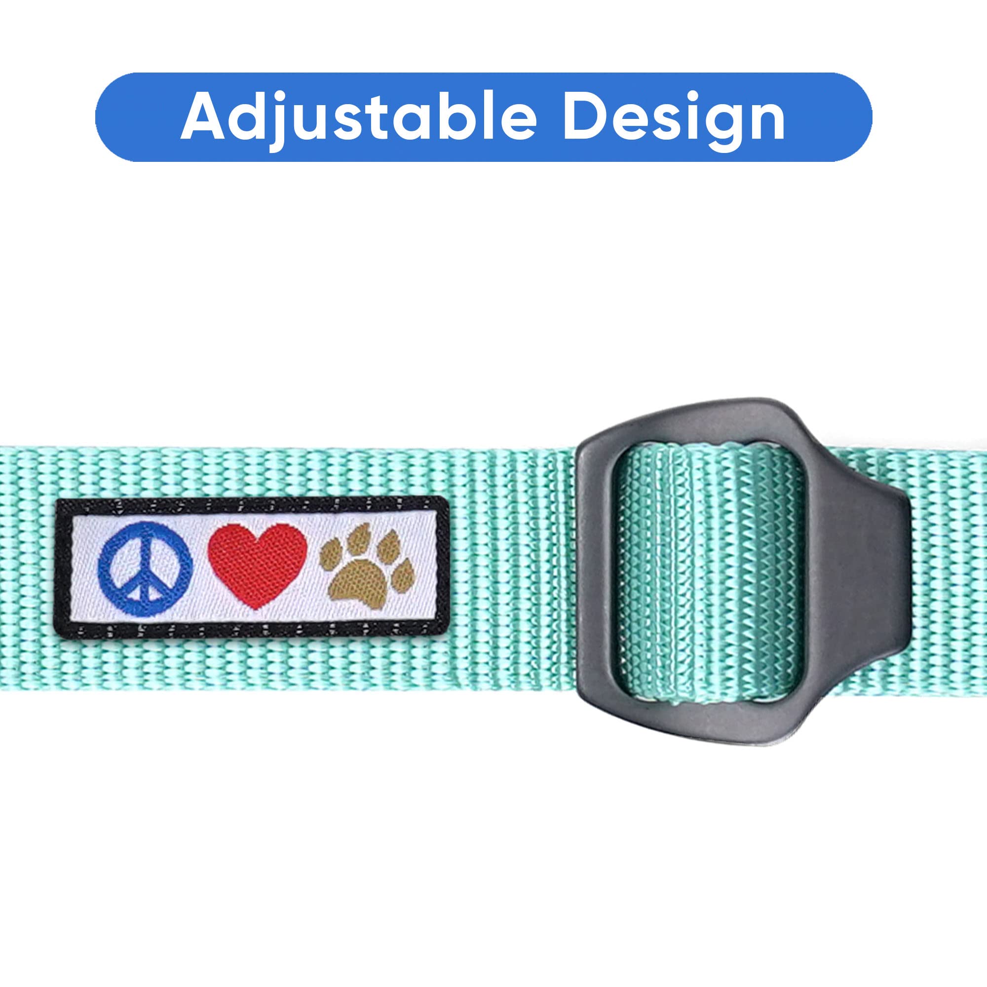 Pawtitas harness-attachment shows secure tethering to a harness for added safety.