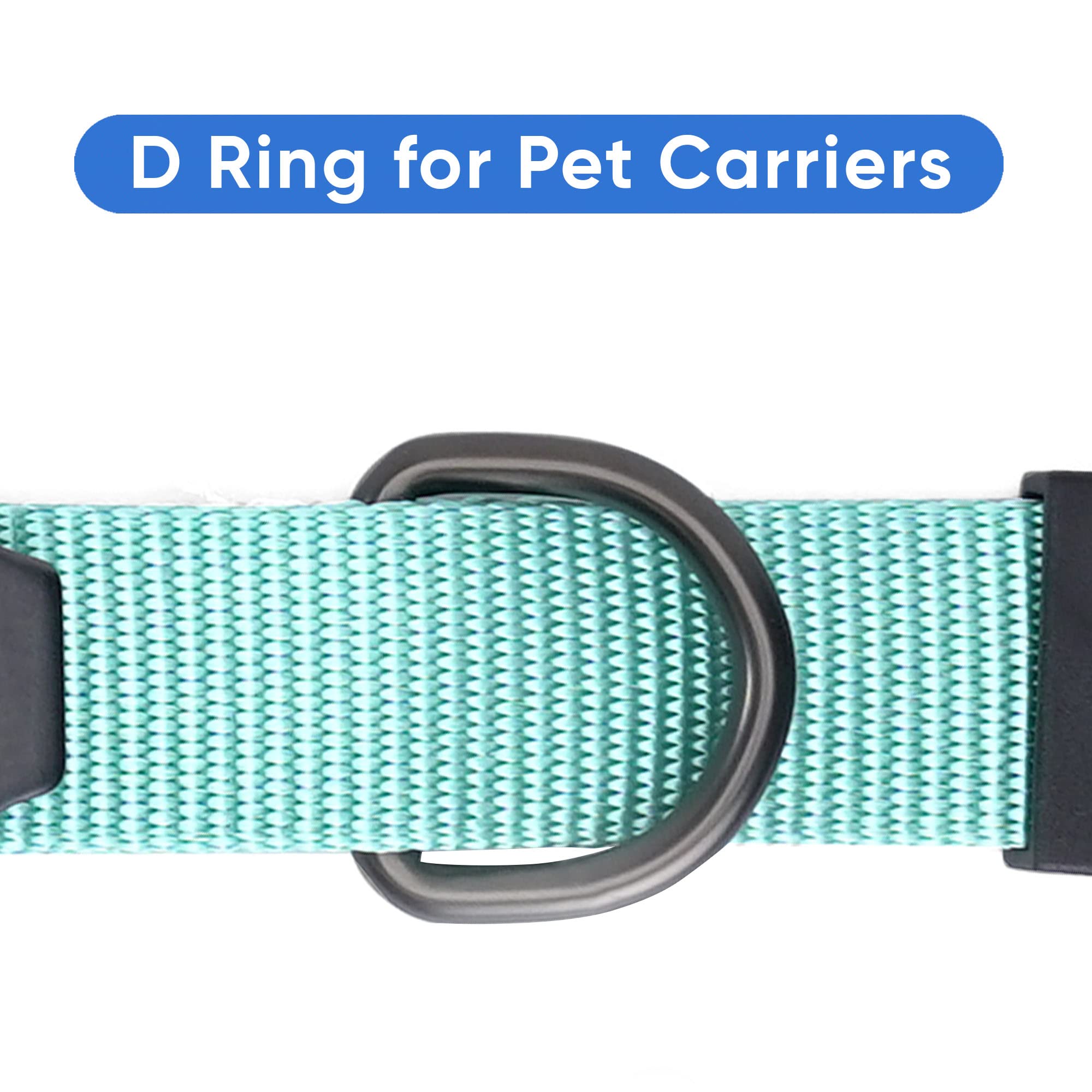 Pawtitas teal-color overview highlights visible safety during car travel.