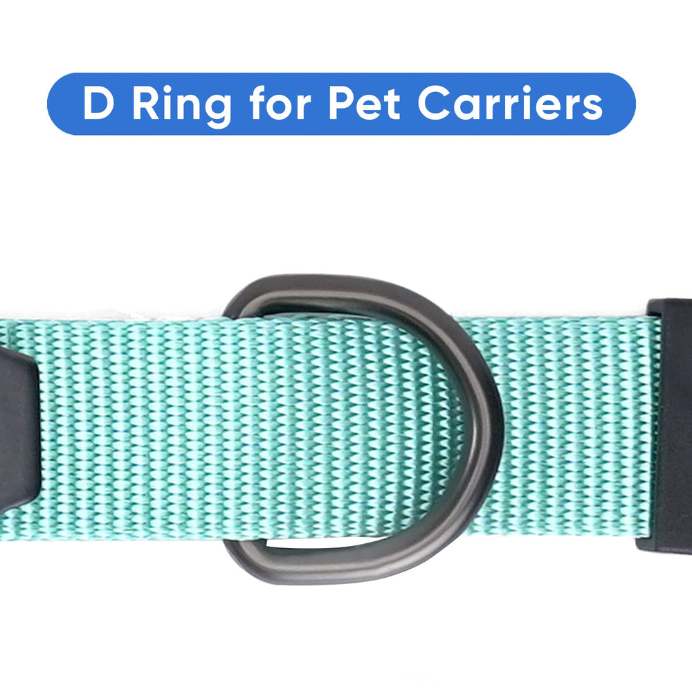 Pawtitas teal-color overview highlights visible safety during car travel.