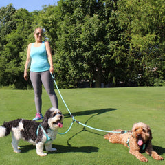 Pawtitas double leash with reflective stitching increases visibility in low light.