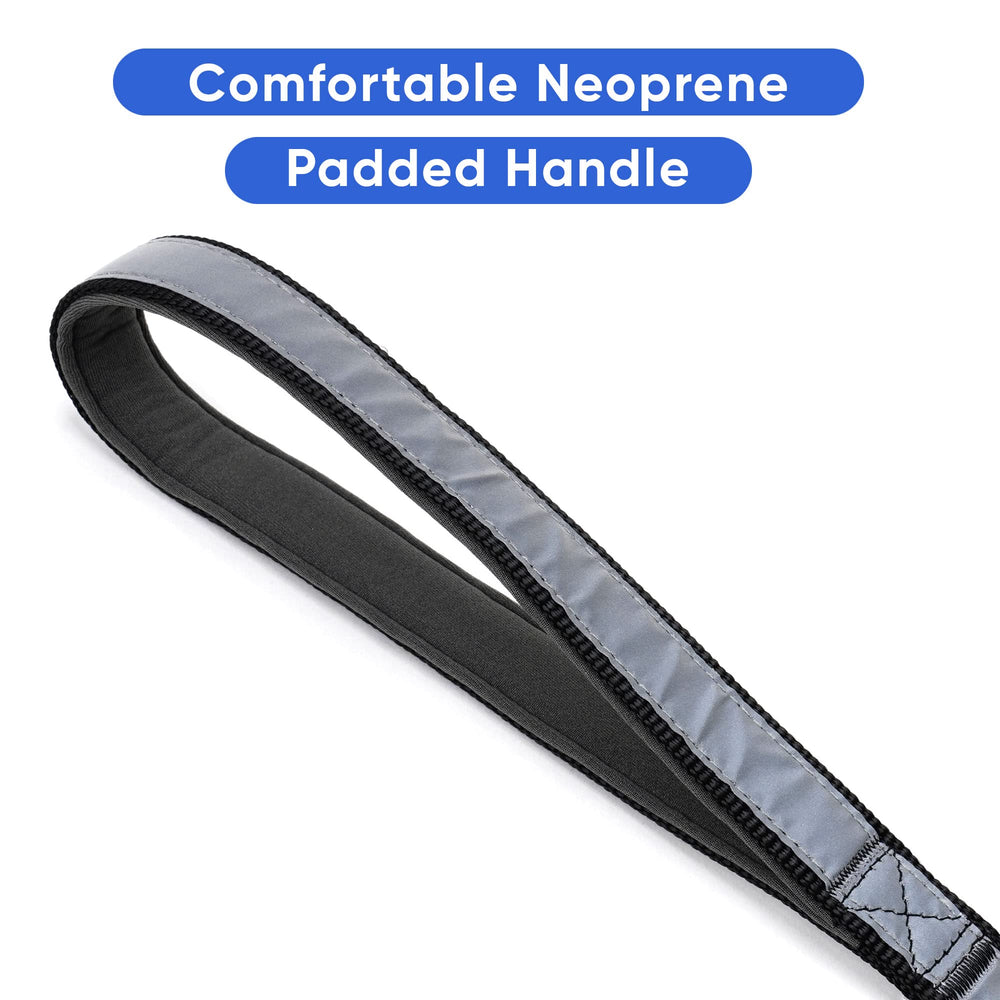 Pawtitas durable ripstop nylon leash built for strength and durability.