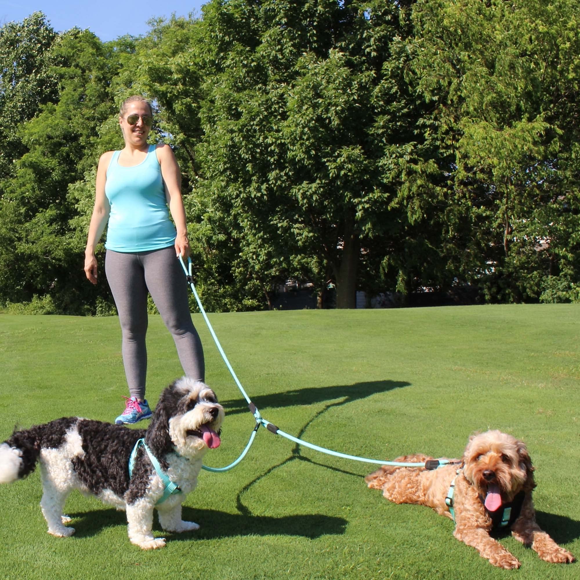Pawtitas ergonomic-handle-design close-up, comfortable grip for long strolls.