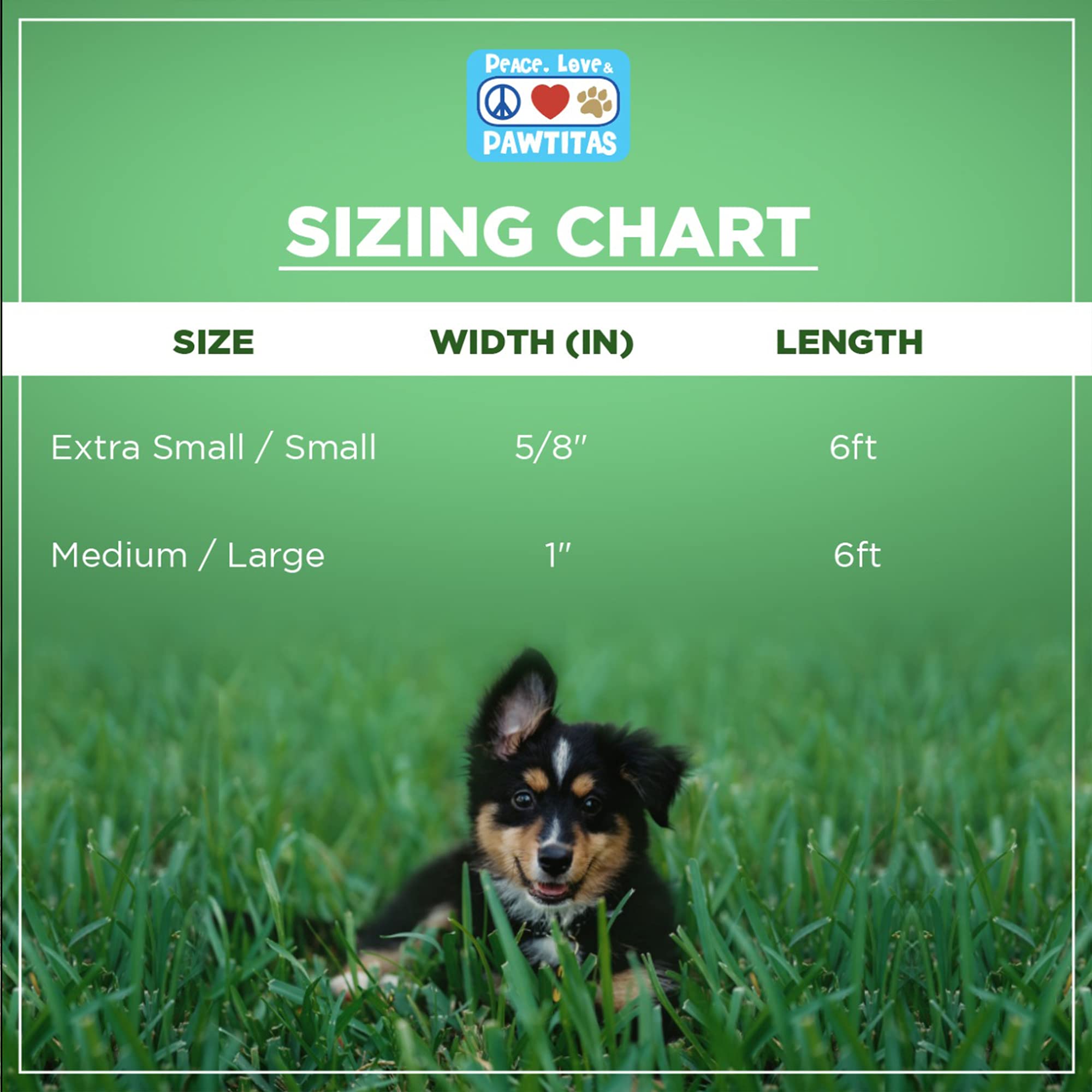 Pawtitas Green Dog Leash is lightweight, ideal for small dogs during everyday adventures.