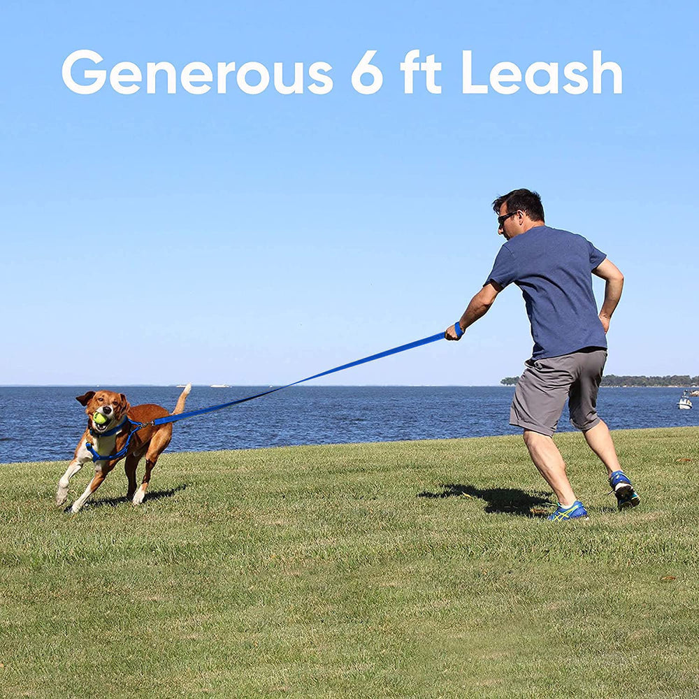 Pawtitas Green Dog Leash made from recycled materials supports eco-friendly pet gear options.