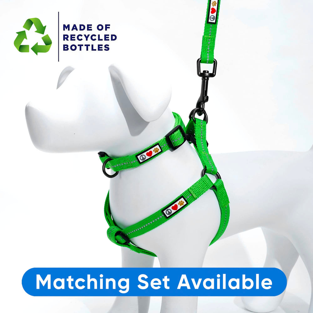 Pawtitas Green Dog Leash features sturdy reinforced stitching for dependable performance.