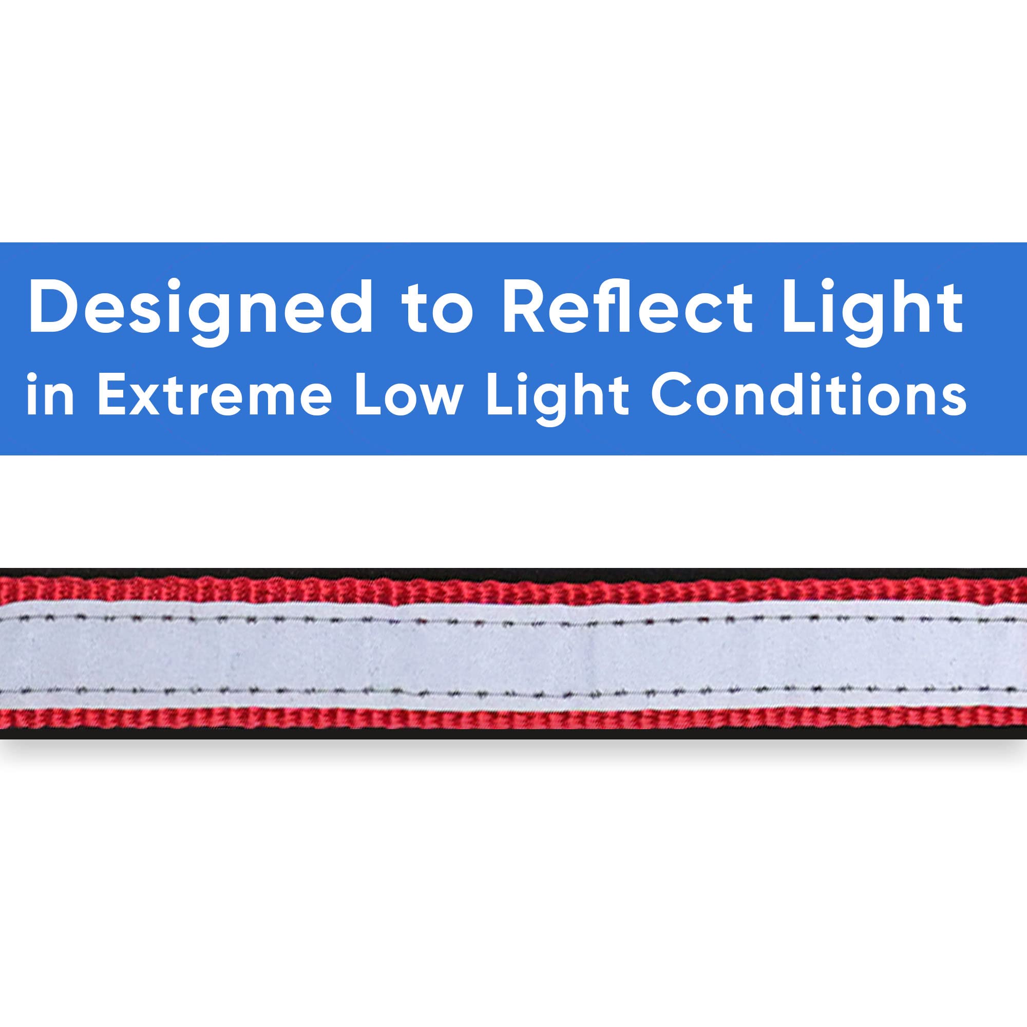 Pawtitas Lumberjack reflective band on small red collar enhances visibility at night
