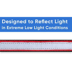 Pawtitas Lumberjack reflective band on small red collar enhances visibility at night