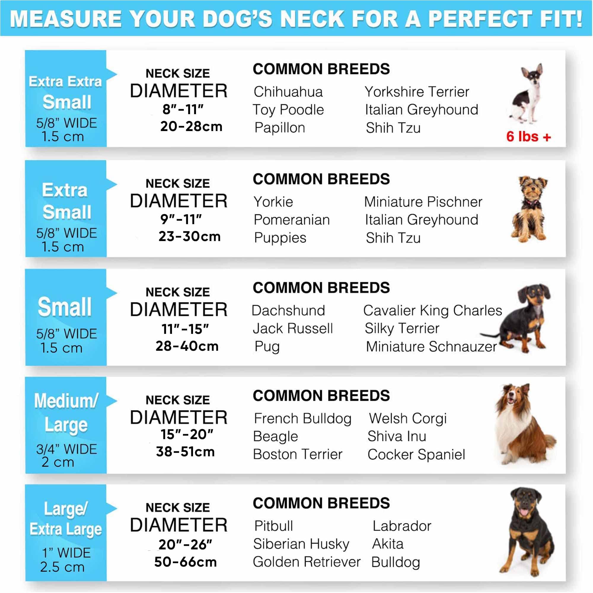 Pawtitas Lumberjack collar reinforced fold demonstrates durability and strength