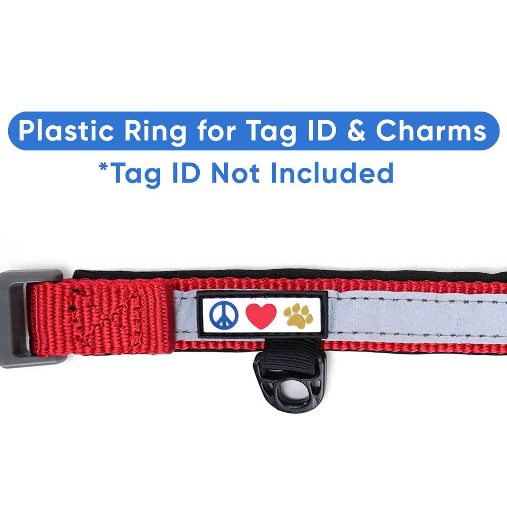 Pawtitas Lumberjack size guide showing 11-16 inch neck range on small red collar
