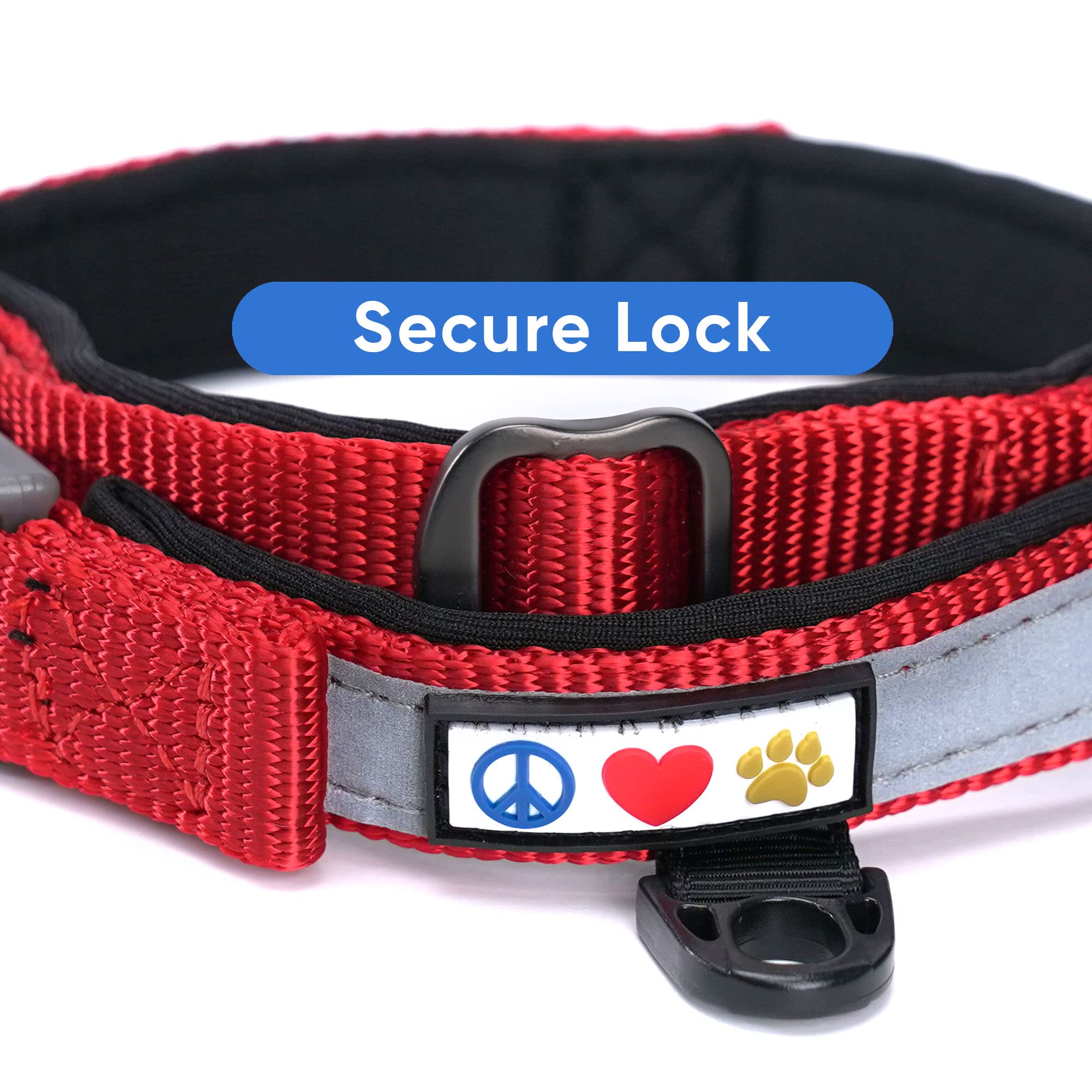 Pawtitas Lumberjack martingale collar on a small dog offers improved training control