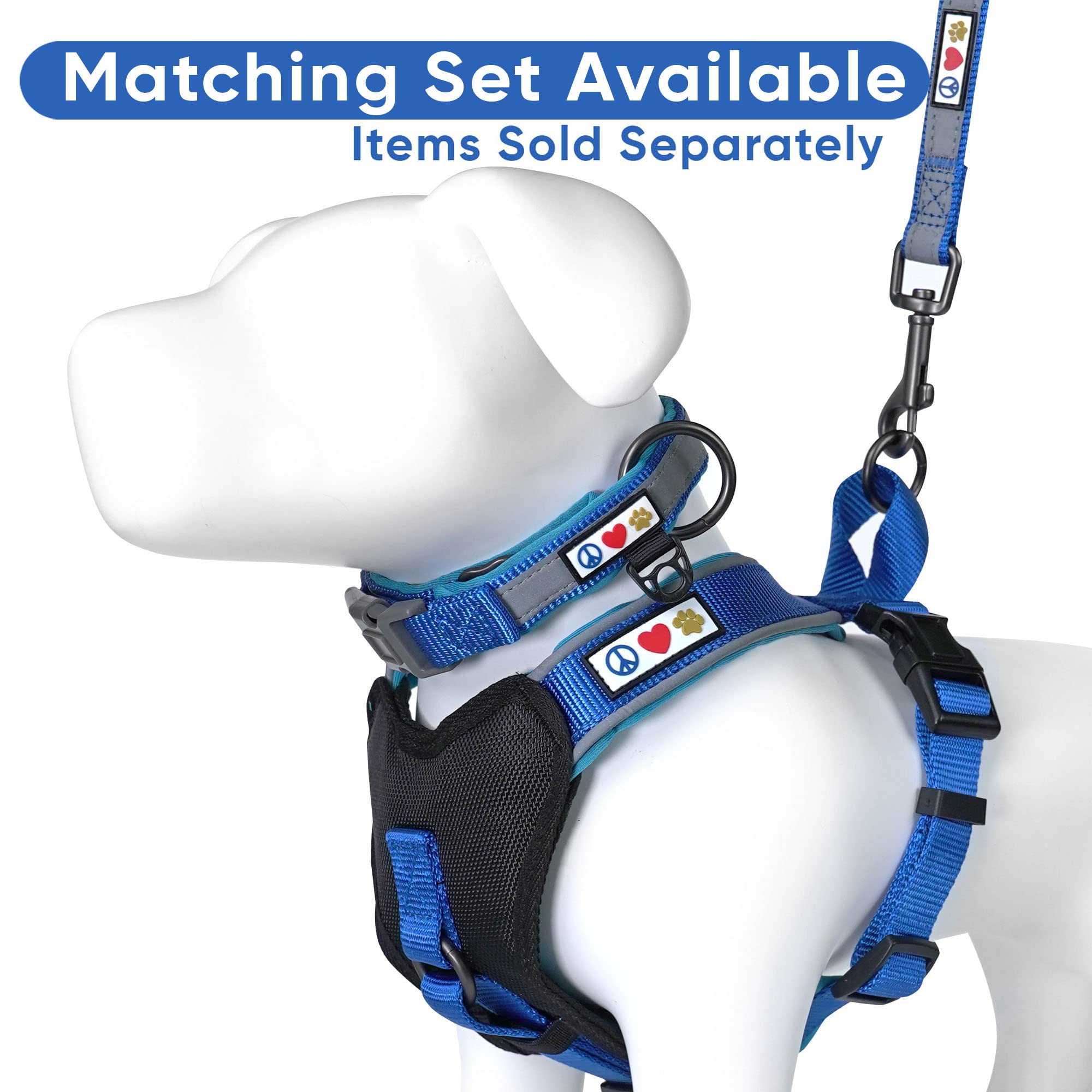 Pawtitas matching blue collar shown with the harness set
