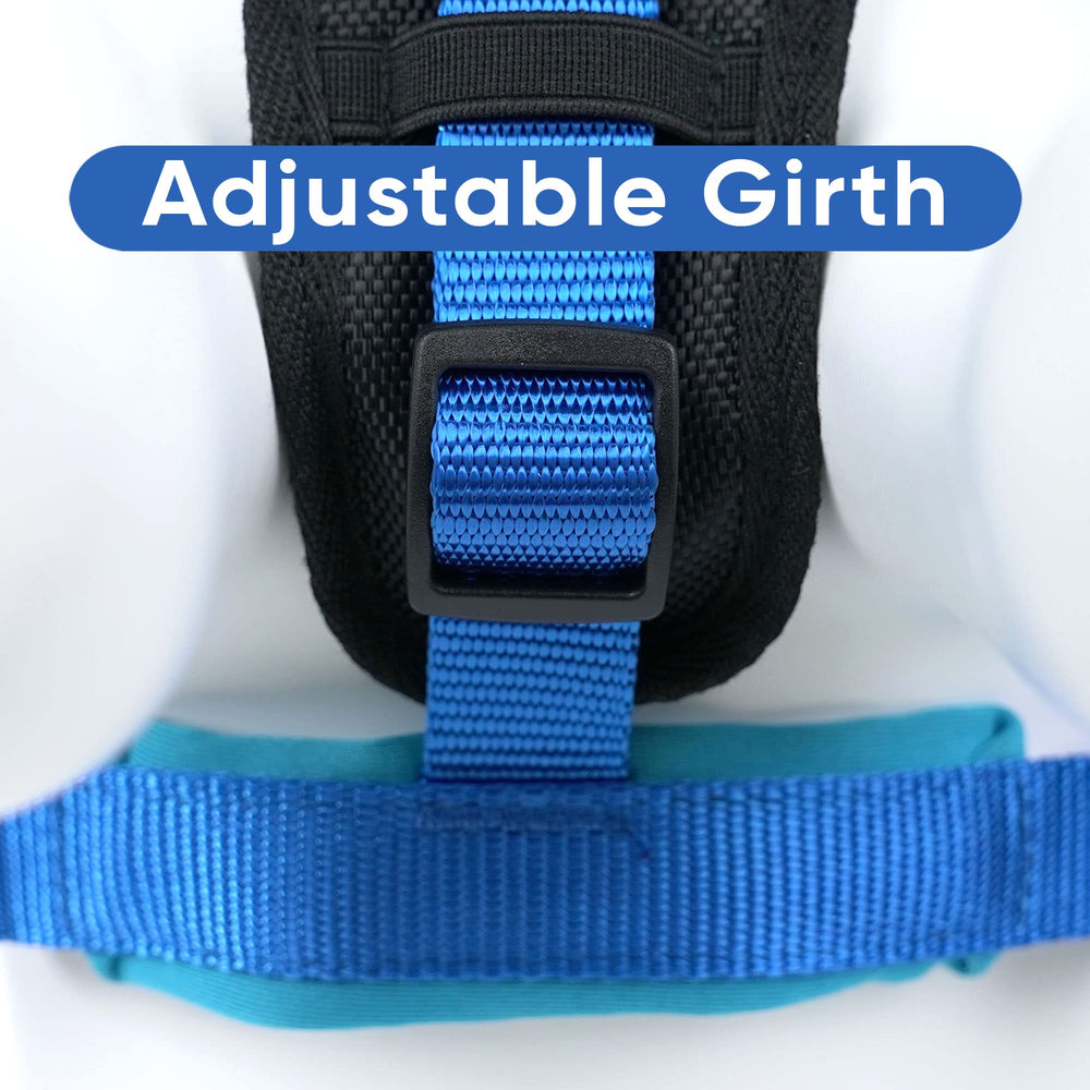 Pawtitas reflective harness demonstrating visibility in low light