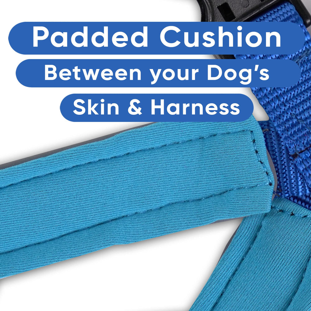Pawtitas no-pull design harness blue reducing tugging during walks