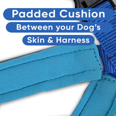 Pawtitas no-pull design harness blue reducing tugging during walks