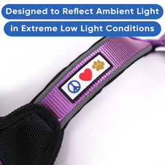 Pawtitas no-pull dog harness demonstrates tug-control during walks