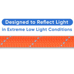 Pawtitas orange dog leash with reinforced stitching for longevity.
