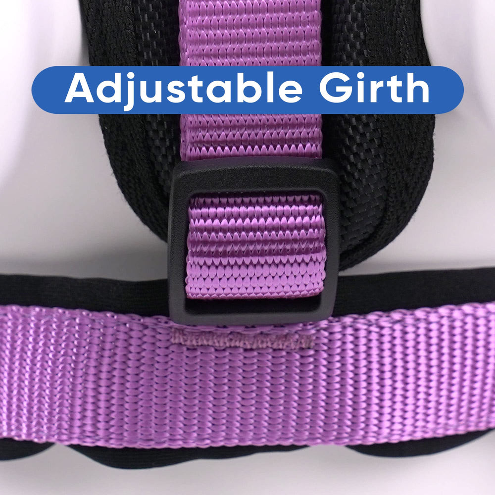Pawtitas purple dog harness offers color-variation for style