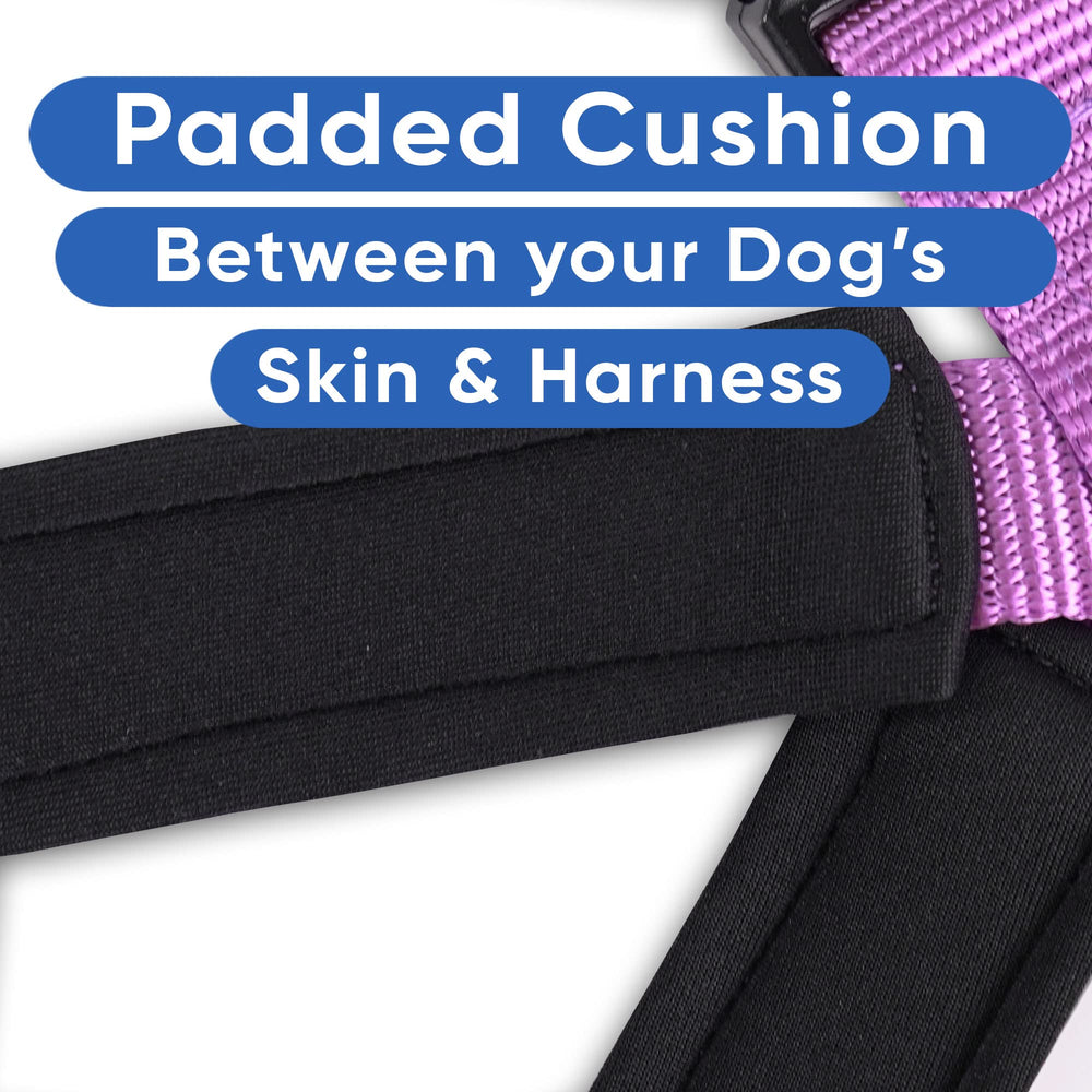 Pawtitas reflective harness with light-up features for dark streets