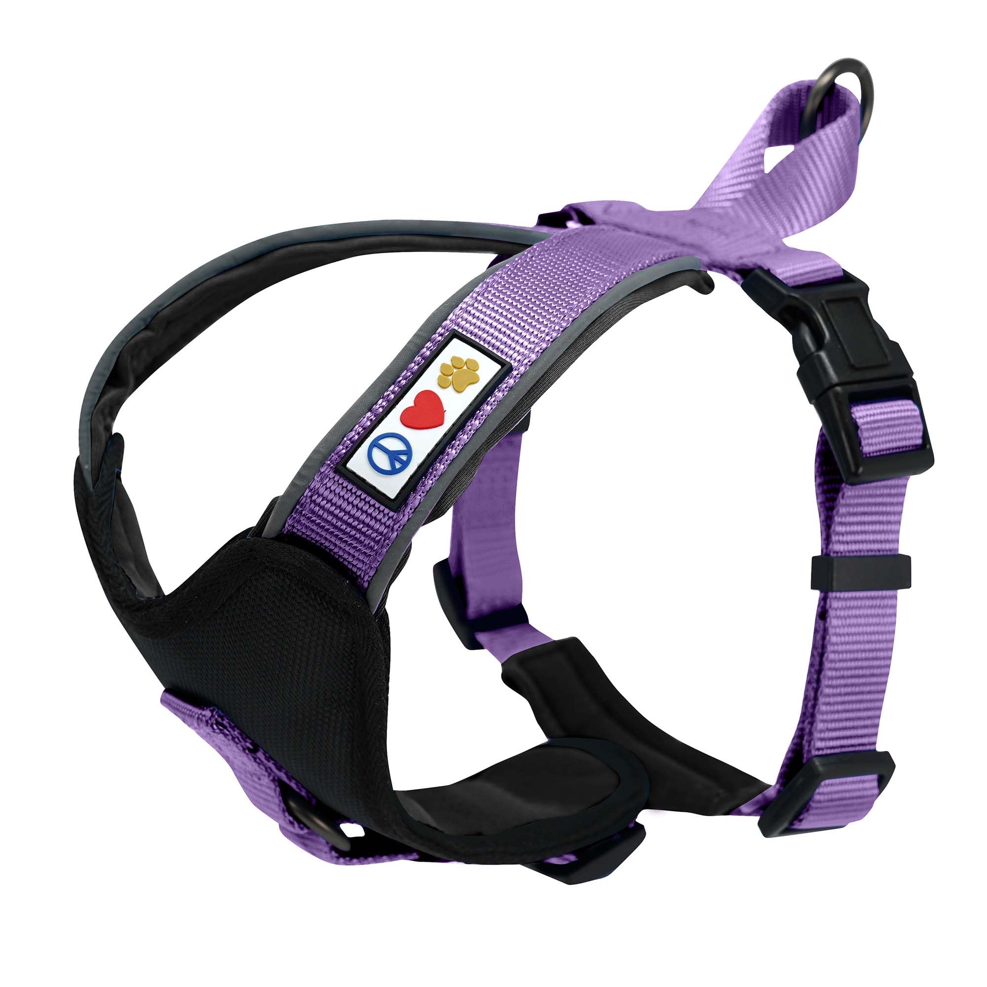Pawtitas Reflective Dog Harness on dog enhances nighttime visibility