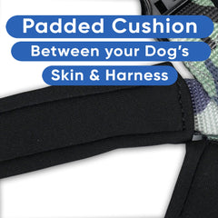 Pawtitas Reflective Harness worn by dog during nighttime walk for better visibility.