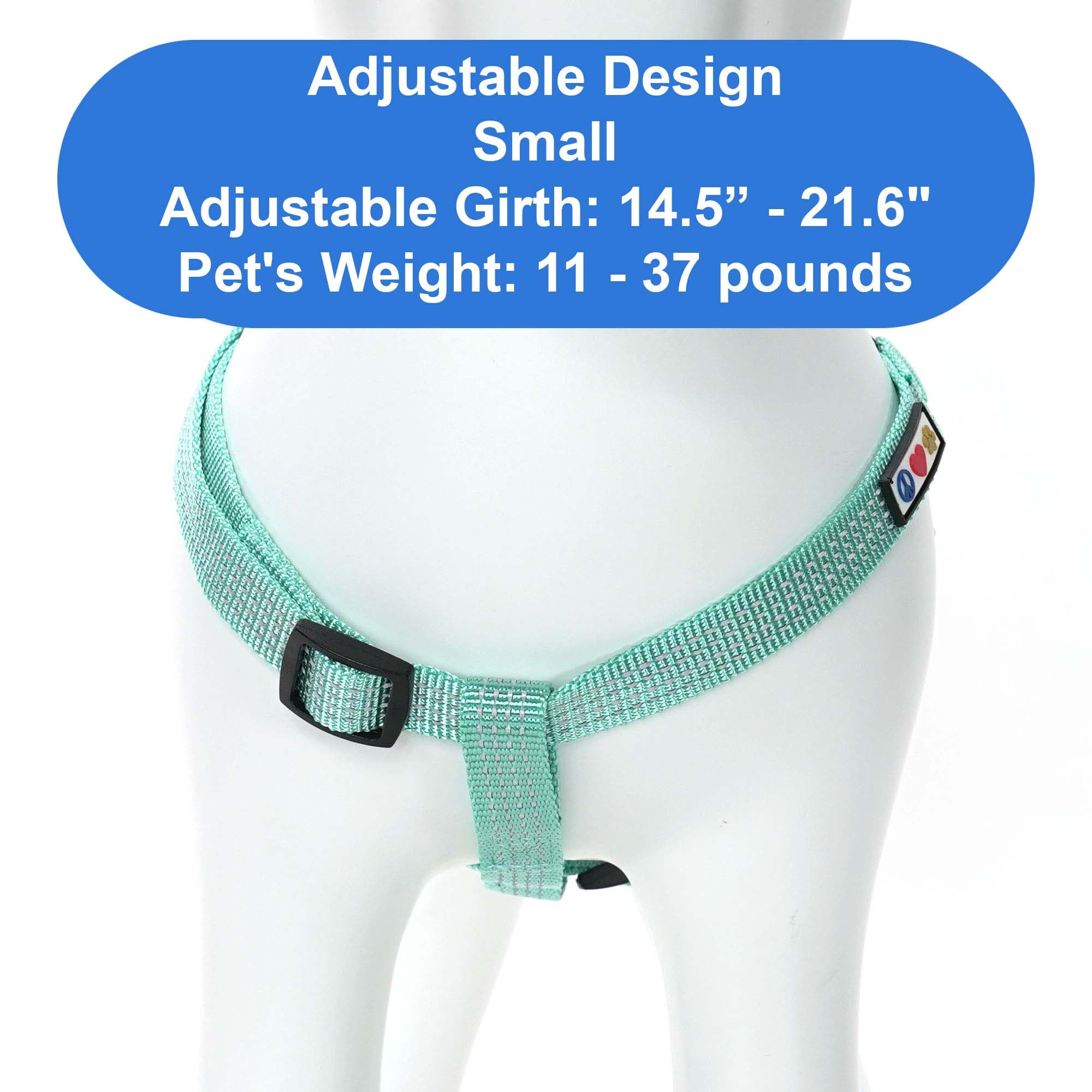 Pawtitas Reflective Step-in Dog Harness teal back view highlights secure closure and strap adjustment.