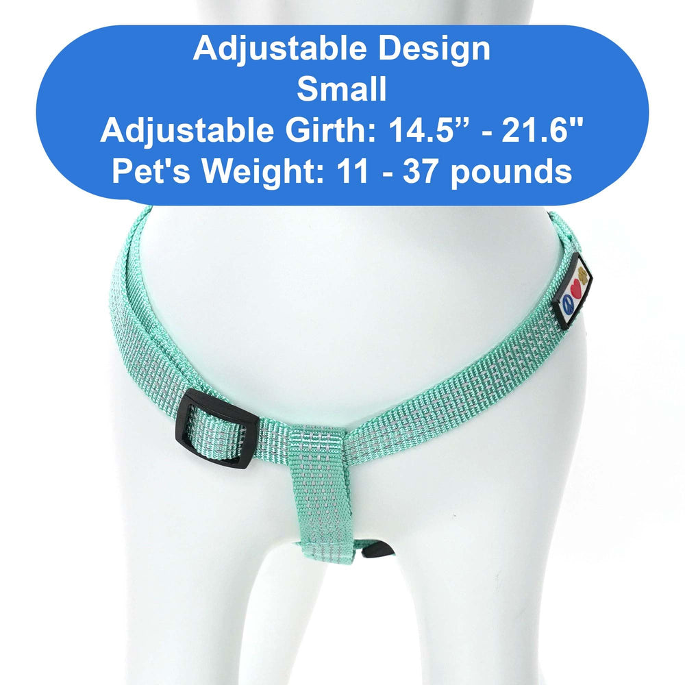 Pawtitas Reflective Step-in Dog Harness teal back view highlights secure closure and strap adjustment.