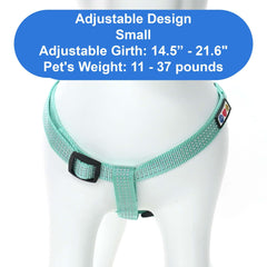 Pawtitas Reflective Step-in Dog Harness teal back view highlights secure closure and strap adjustment.