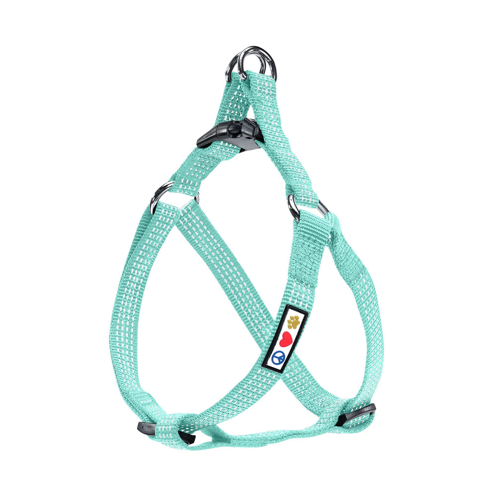 Pawtitas Reflective Step-in Dog Harness teal front view for enhanced nighttime visibility.