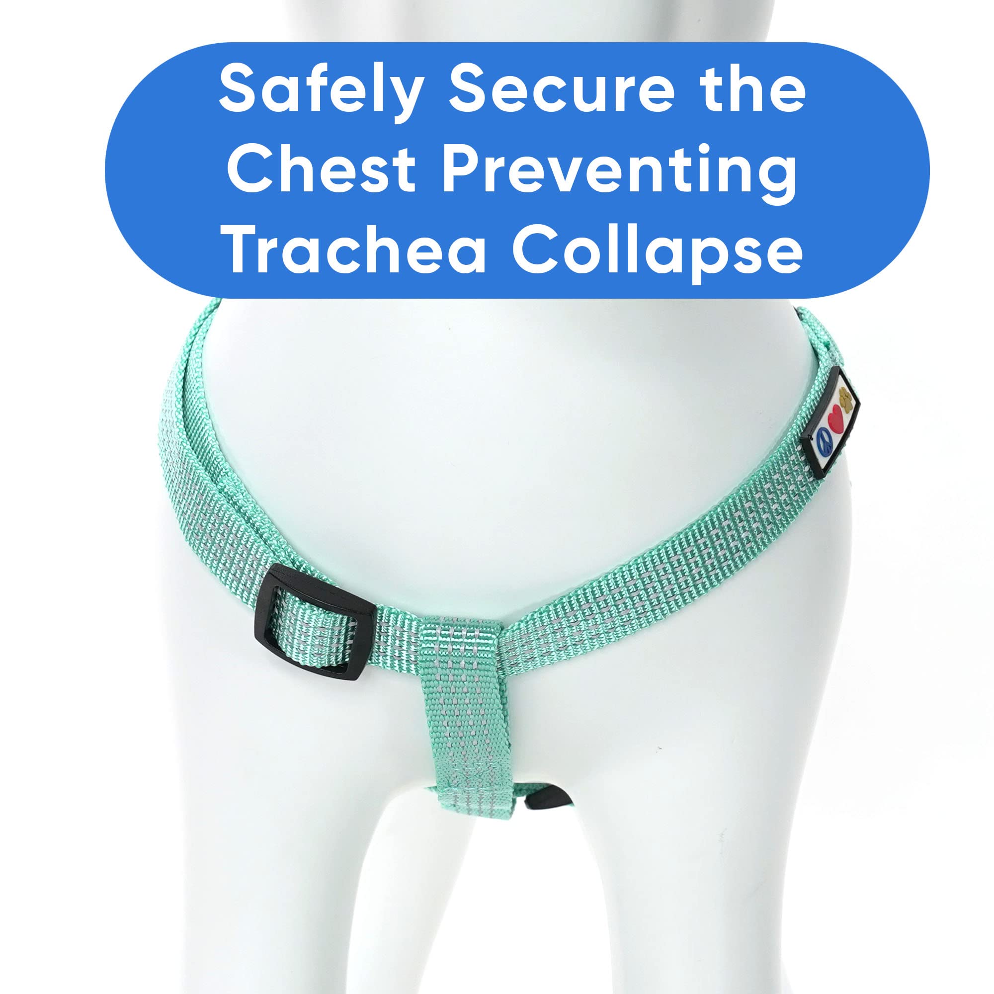 Pawtitas Reflective Step-in Dog Harness teal on small dogs ensures gentle control and comfort.