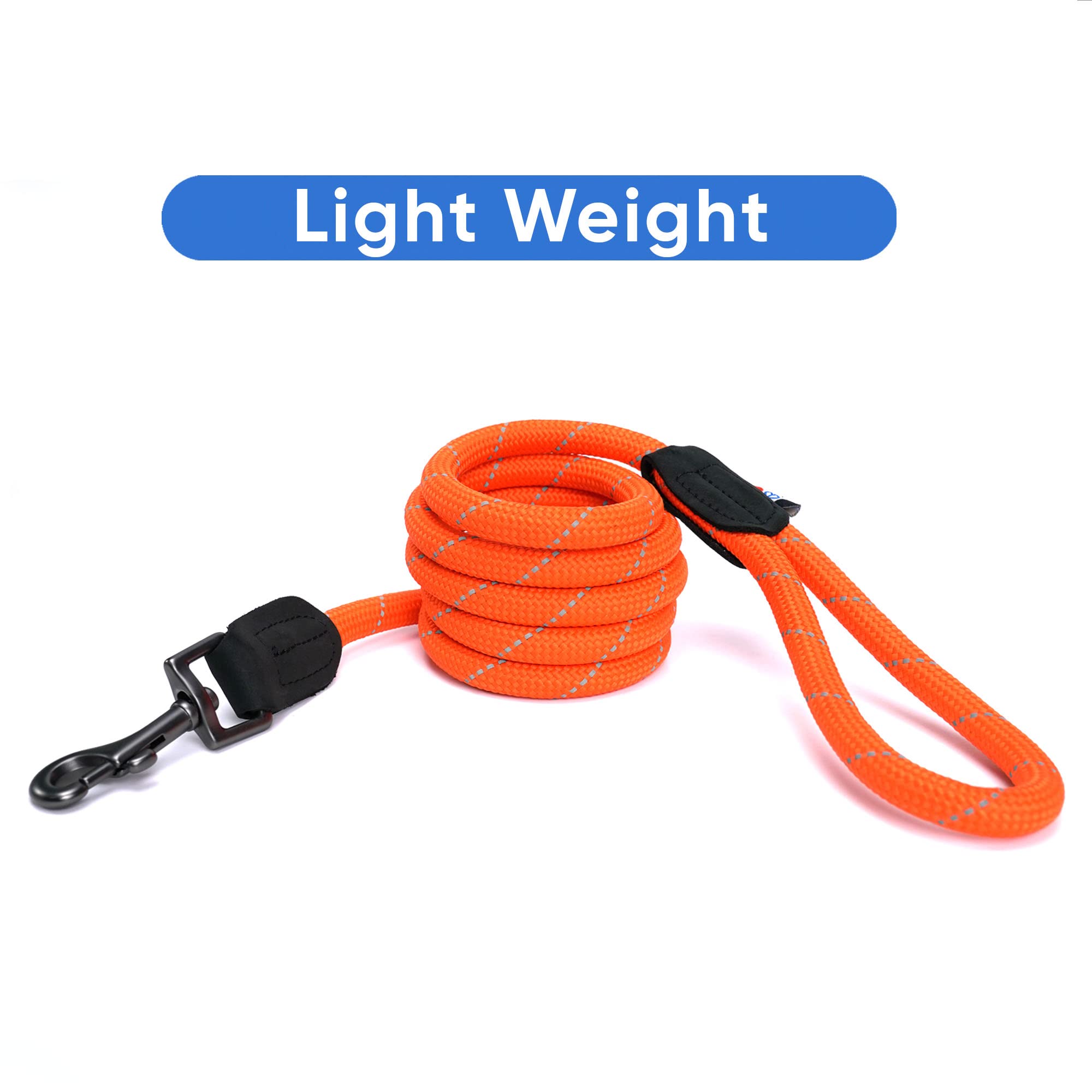 Pawtitas reflective-strip leash for safe night walks.