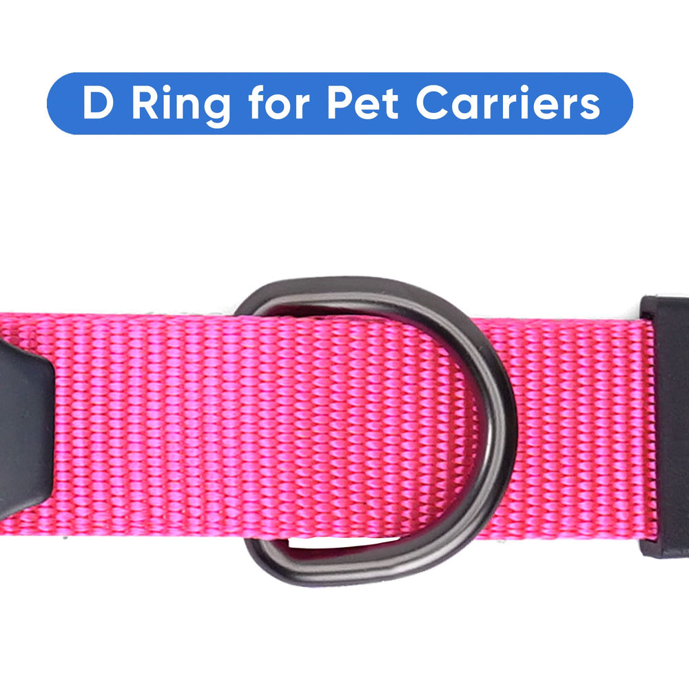 Pawtitas compact design fits in most cars and SUVs.