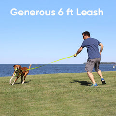 Pawtitas teal dog leash close-up of reflective strip improves visibility during evening walks