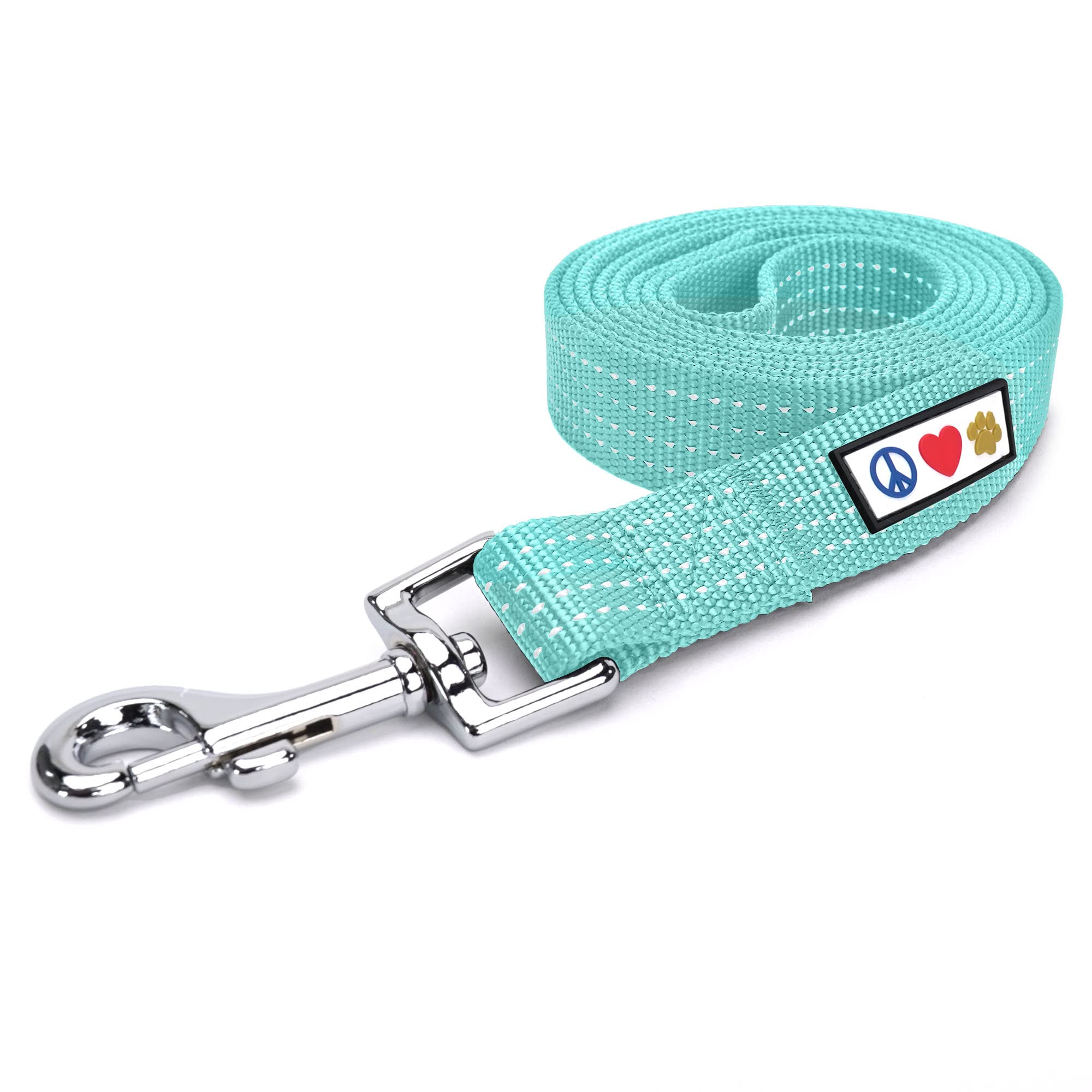 Pawtitas teal dog leash 6ft side view highlights durable nylon weave for medium to large dogs