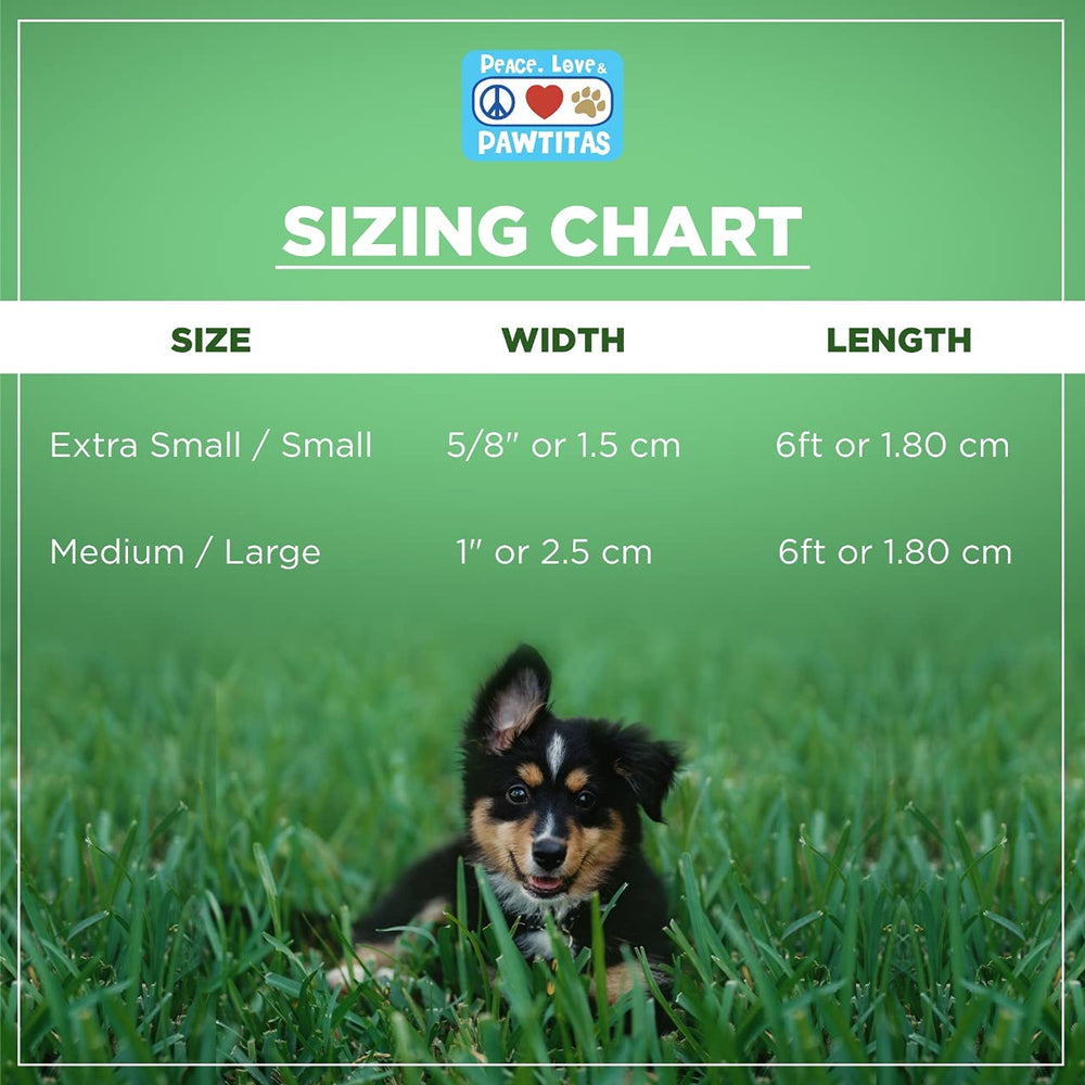 Pawtitas teal dog leash folded-over construction detail shows reinforced durability
