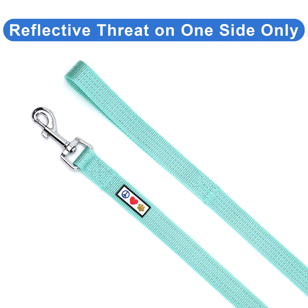 Pawtitas teal dog leash hardware close-up shows sturdy nickel fittings for lasting use