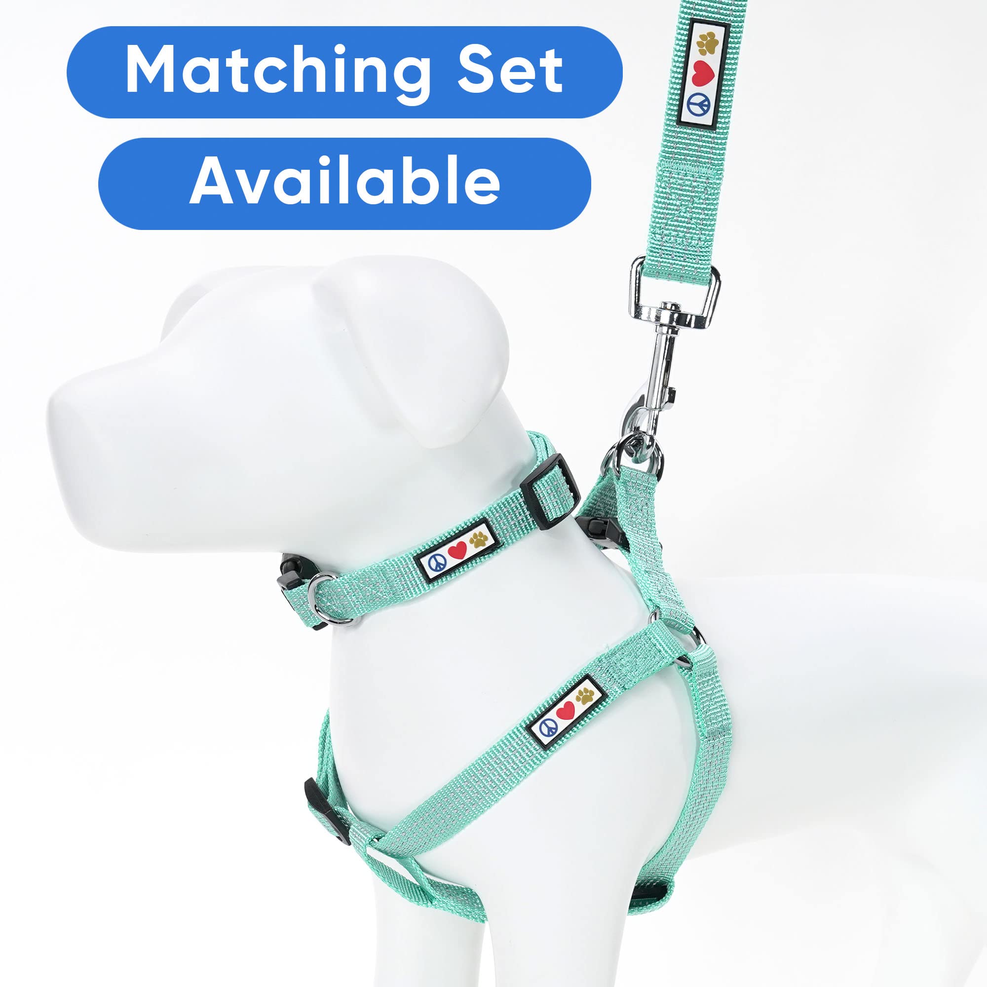 Pawtitas teal dog leash reinforced stitching close-up emphasizes strength for active dogs