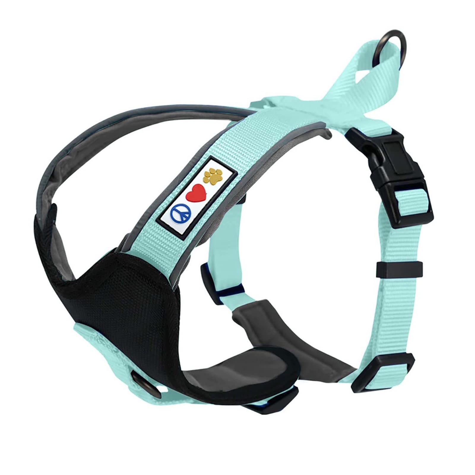 Pawtitas vest adjustable padded harness teal front view showing comfortable control on daily walks