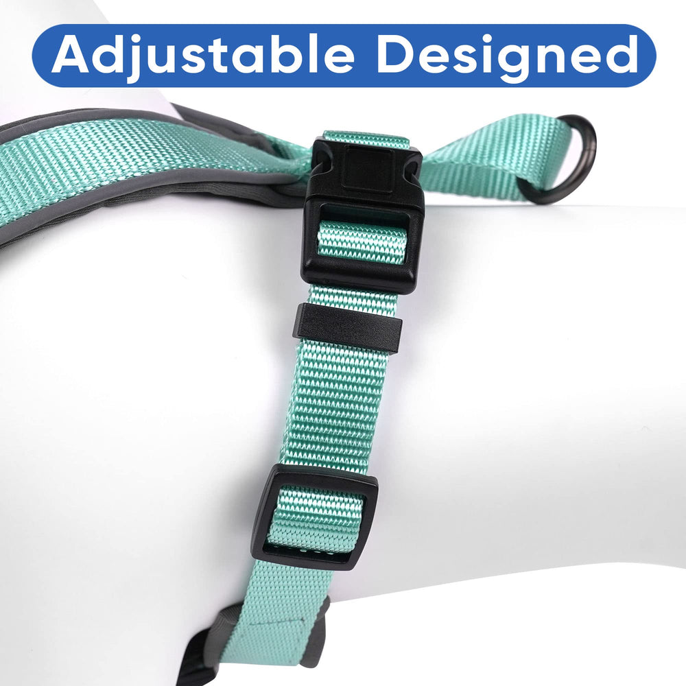 Pawtitas vest teal chest buckle adjustment demonstrates easy fit tuning for small dogs