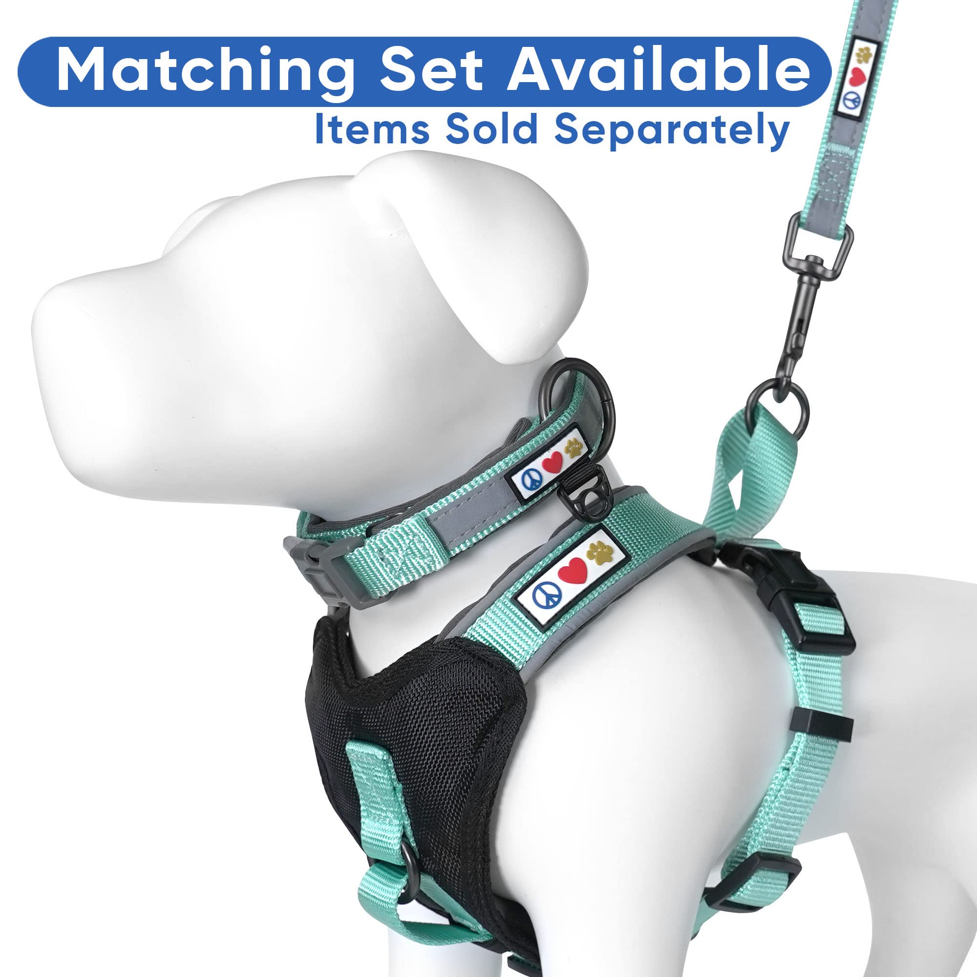 Pawtitas vest teal matching leash and collar option promotes coordinated walks