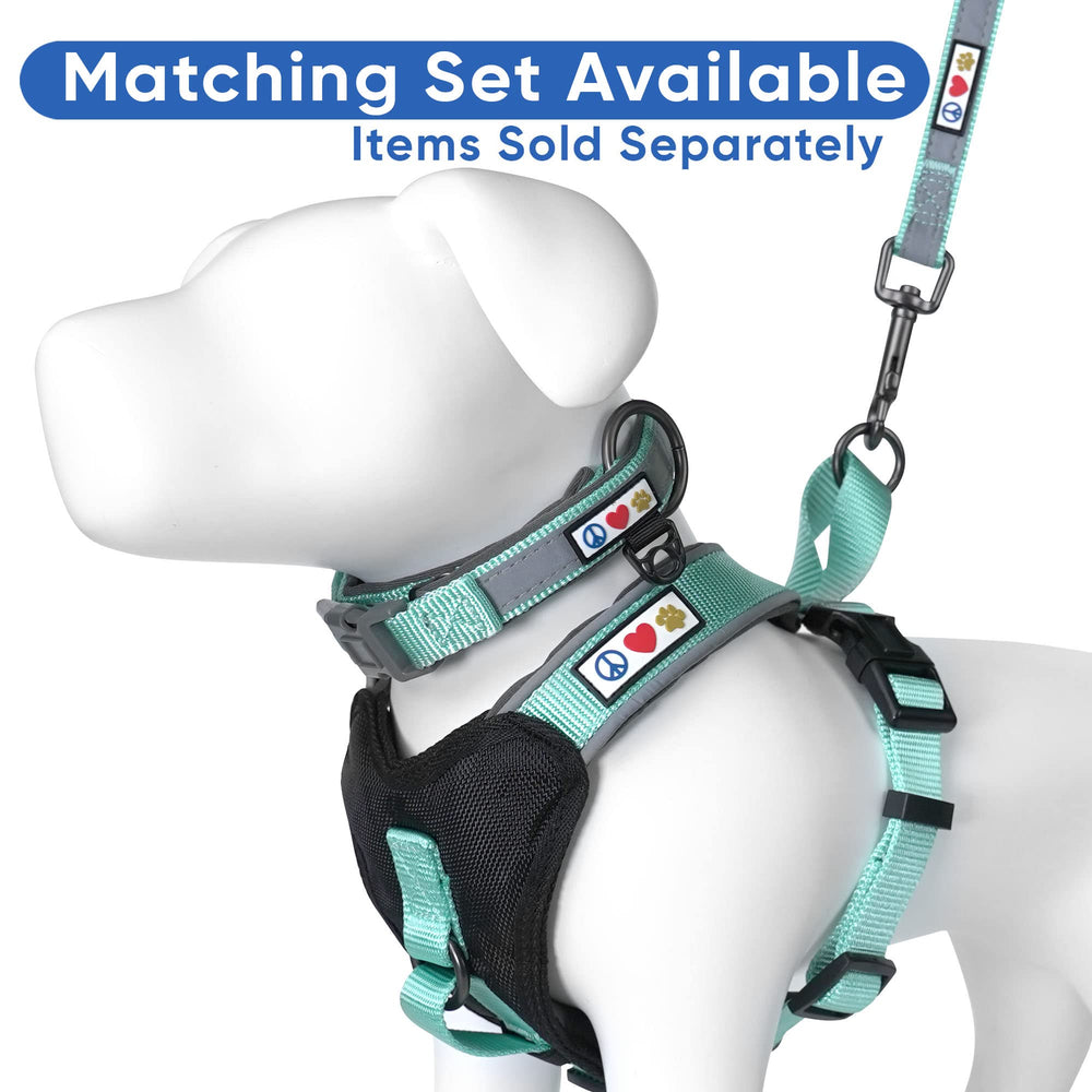 Pawtitas vest teal matching leash and collar option promotes coordinated walks