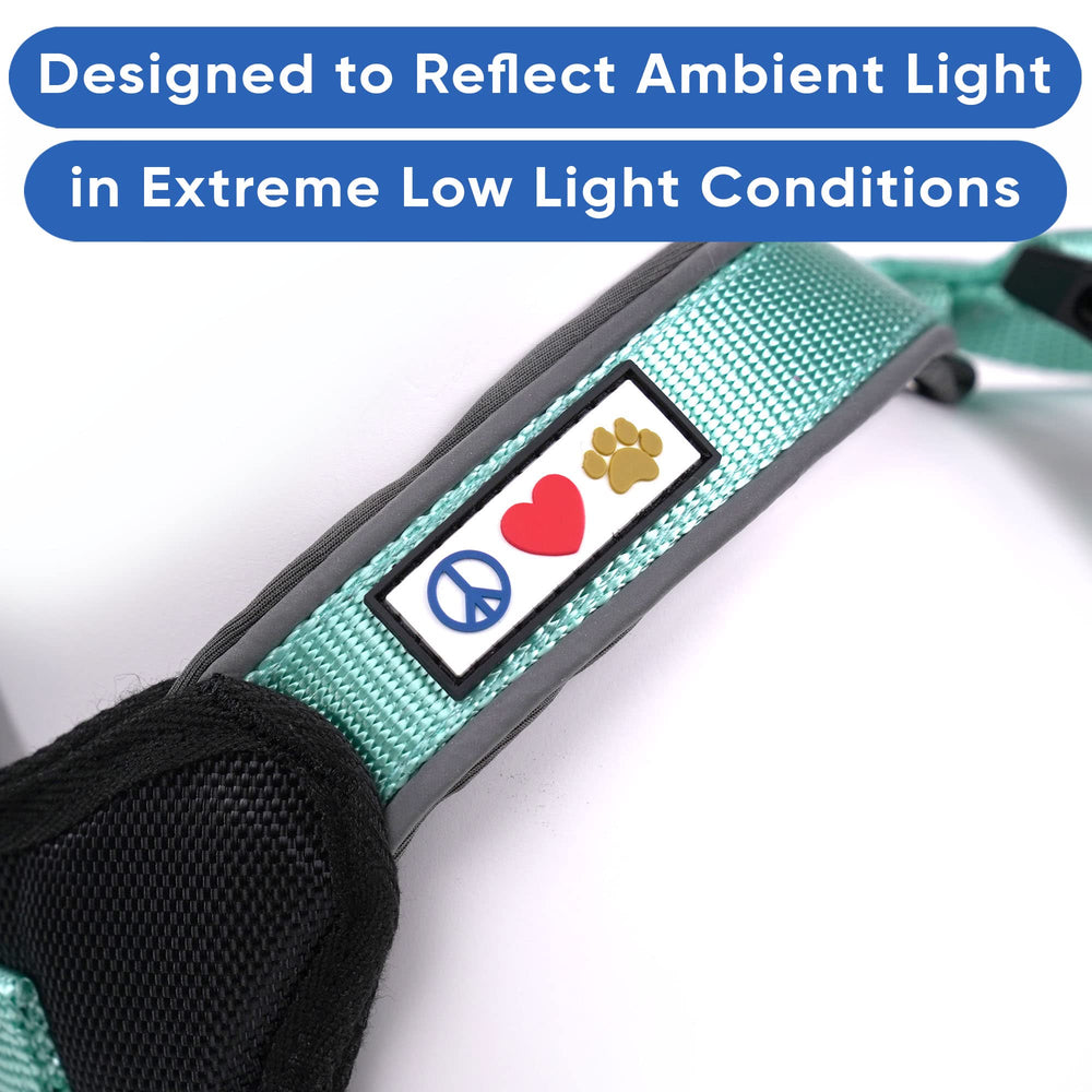 Pawtitas vest teal reflective straps in low light for safer evening strolls