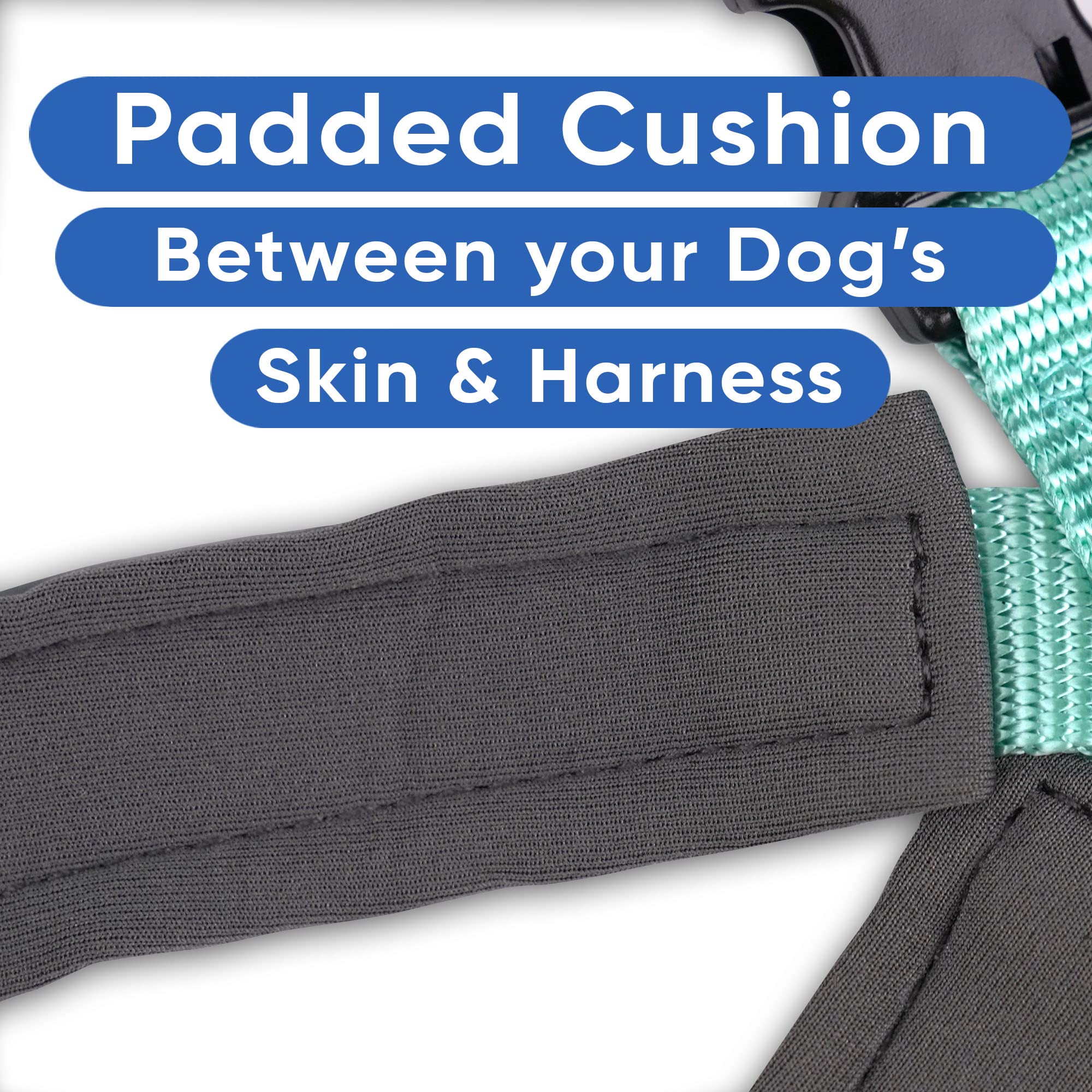 Pawtitas vest teal close-up padding highlights soft material for pet comfort