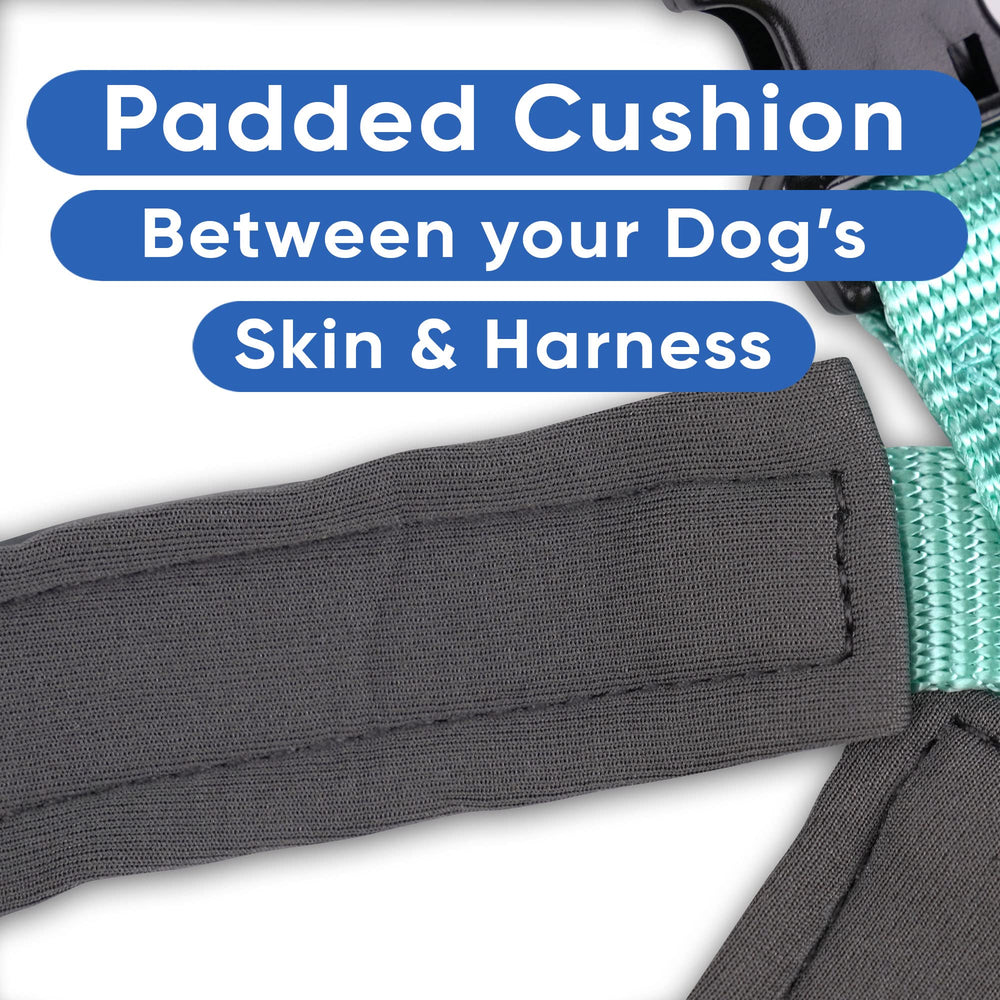 Pawtitas vest teal close-up padding highlights soft material for pet comfort