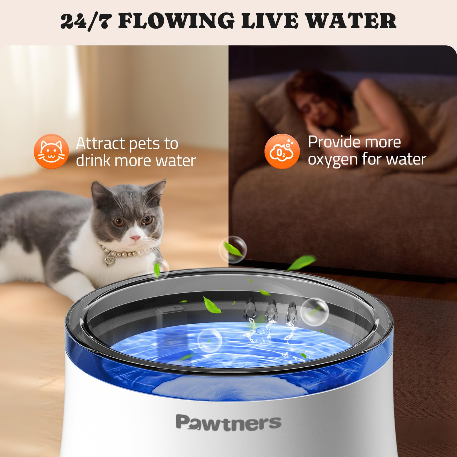 Pawtners assembly-and-filter-guide, visual overview of setup and maintenance steps.