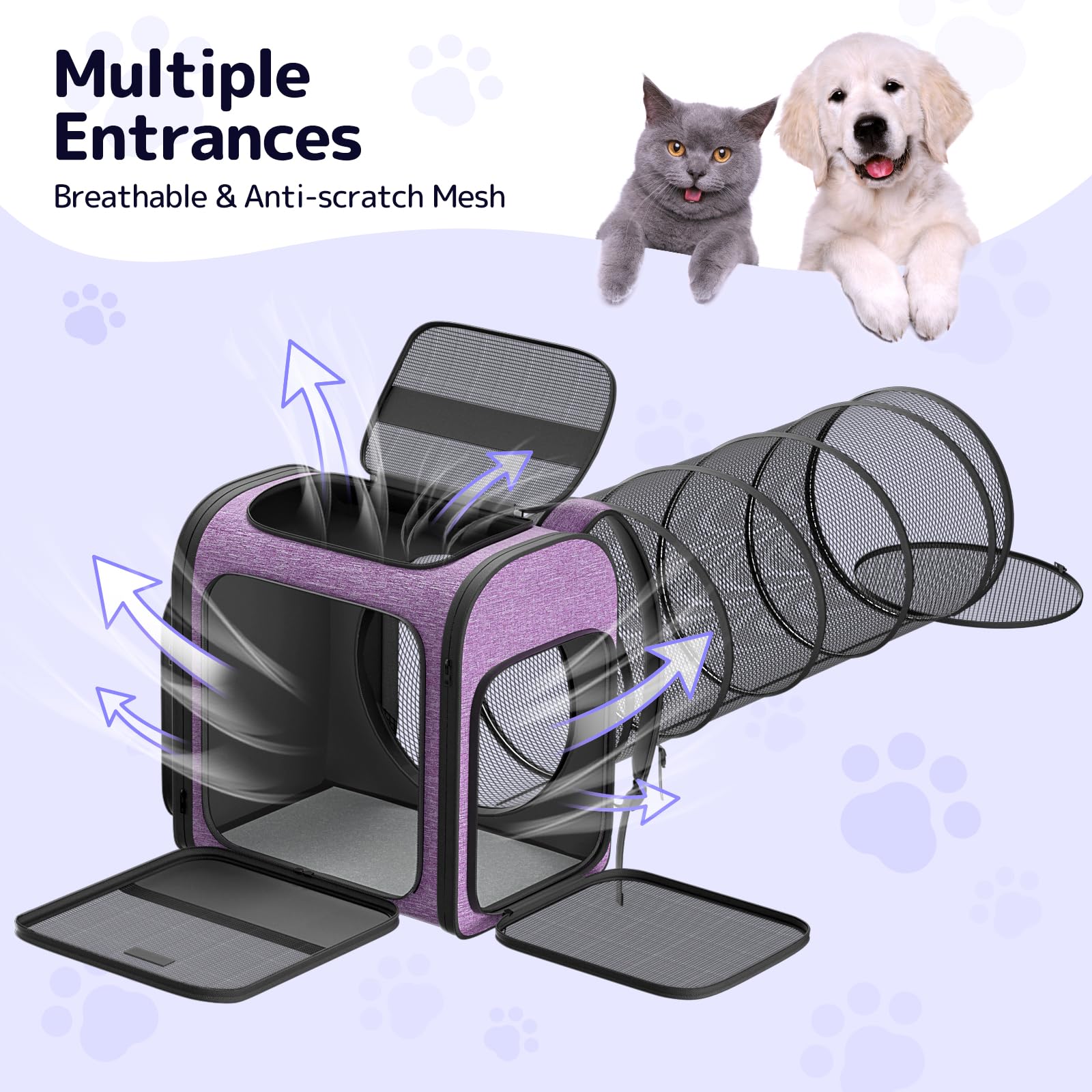 Pawtners cat backpack iron-frame-durability shows sturdy frame resisting scratches.