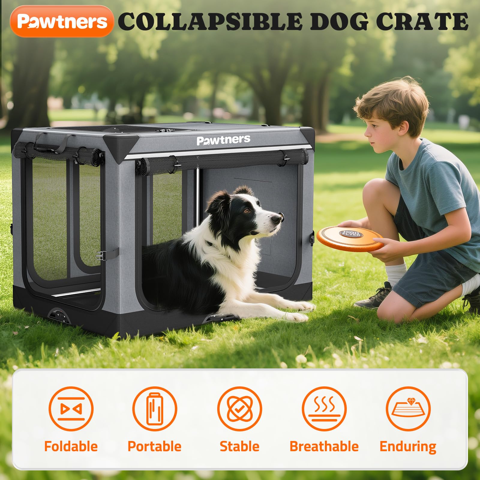 Pawtners collapsible dog crate interior shows soft mat and cozy space.